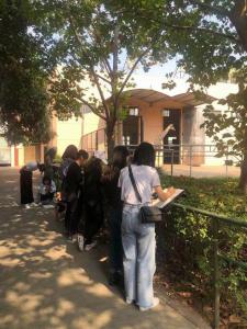 洛陽高考美術(shù)培訓(xùn)素描的基礎(chǔ)知識(shí)